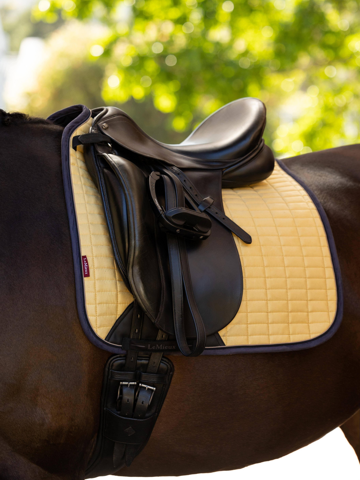 LeMieux Suede Square Dressage Saddle Pad Mimosa