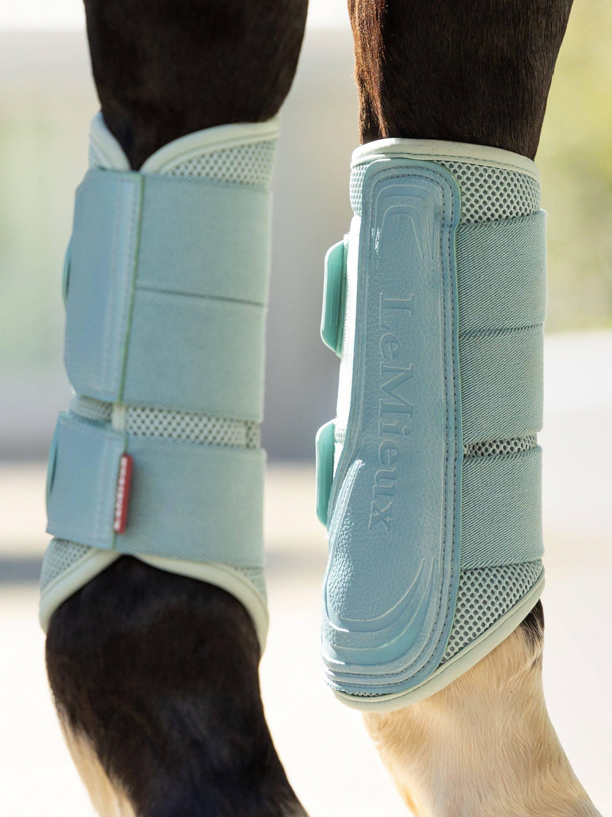 LeMieux Arika Mesh Brushing Boots Aqua