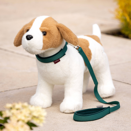 LeMieux Toy Puppy Collar & Lead Evergreen