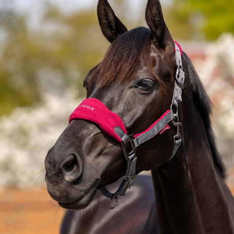 LeMieux Vogue Headcollar with Lead Mulberry