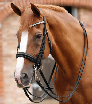 Premier Equine Leonardo Plain Leather Reins