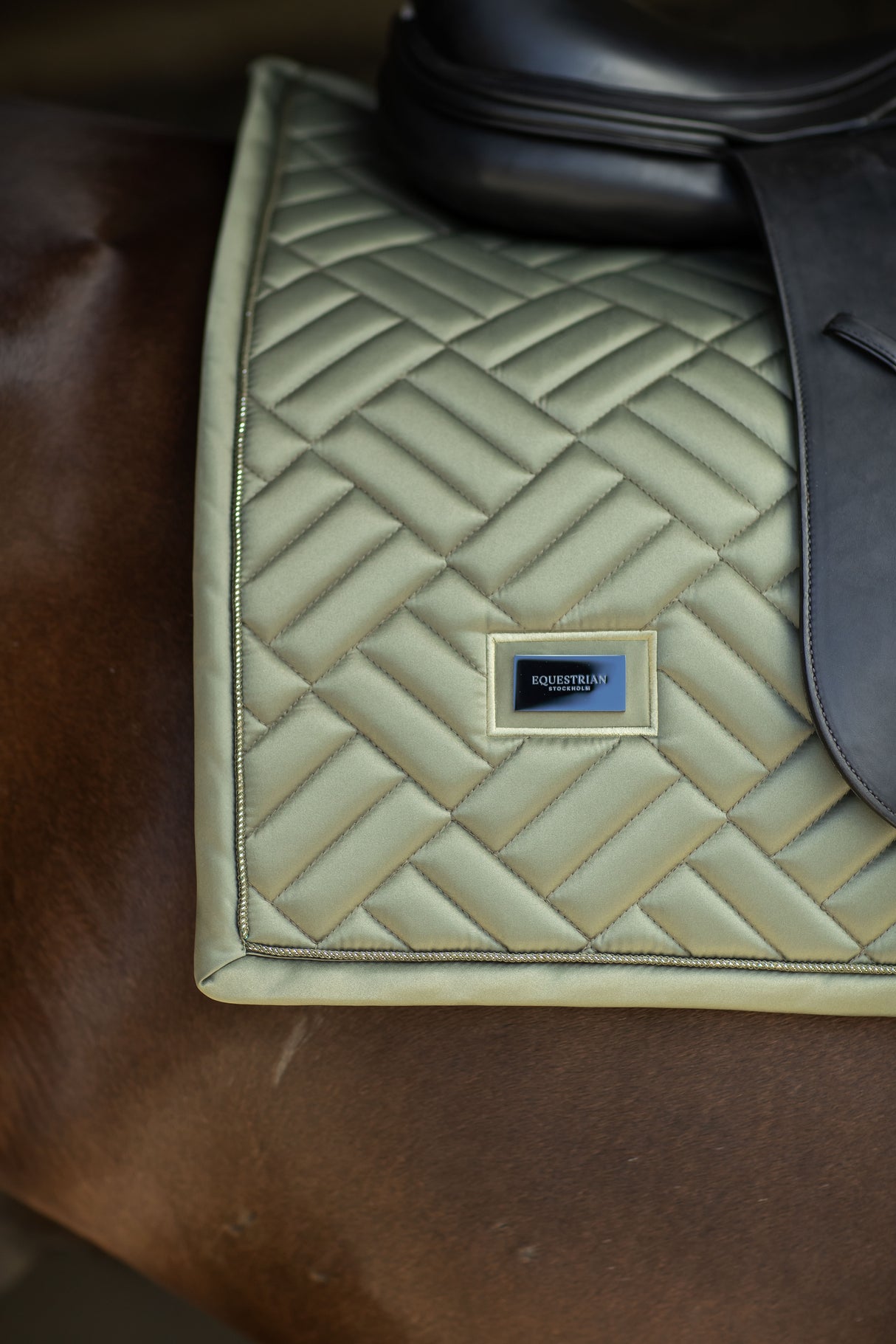 Equestrian Stockholm Modern Dressage Saddle Pad Striking Valley