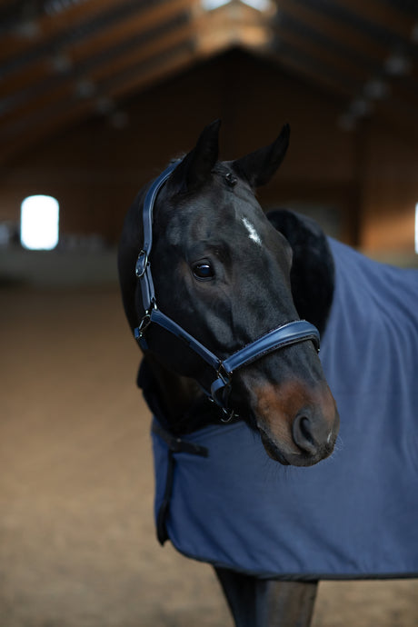 Equestrian Stockholm Anatomic Glimmer Leather Halter Dark Venice