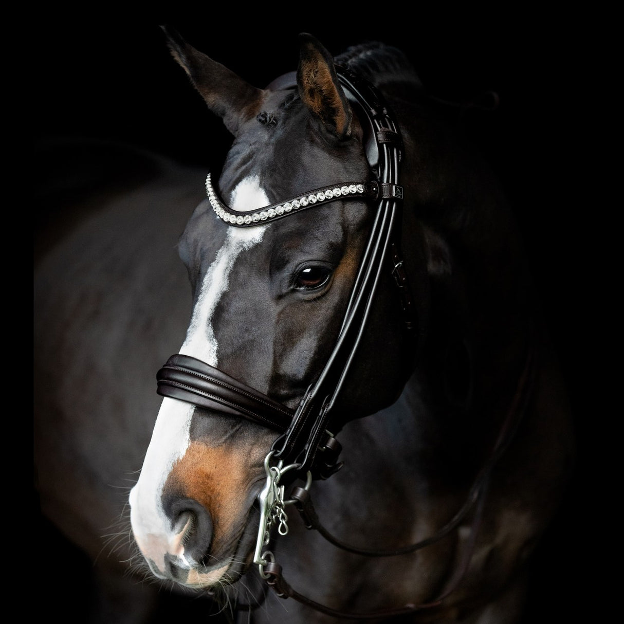 SD Design Belissimo II Rolled Double Bridle Black