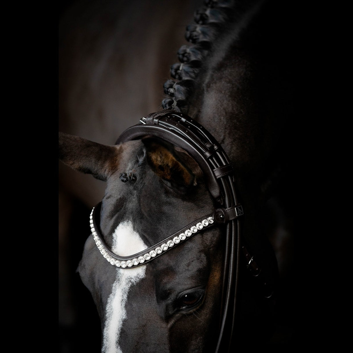 SD Design Belissimo II Rolled Double Bridle Black
