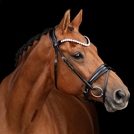 SD Design Velaggio Browband Crystal