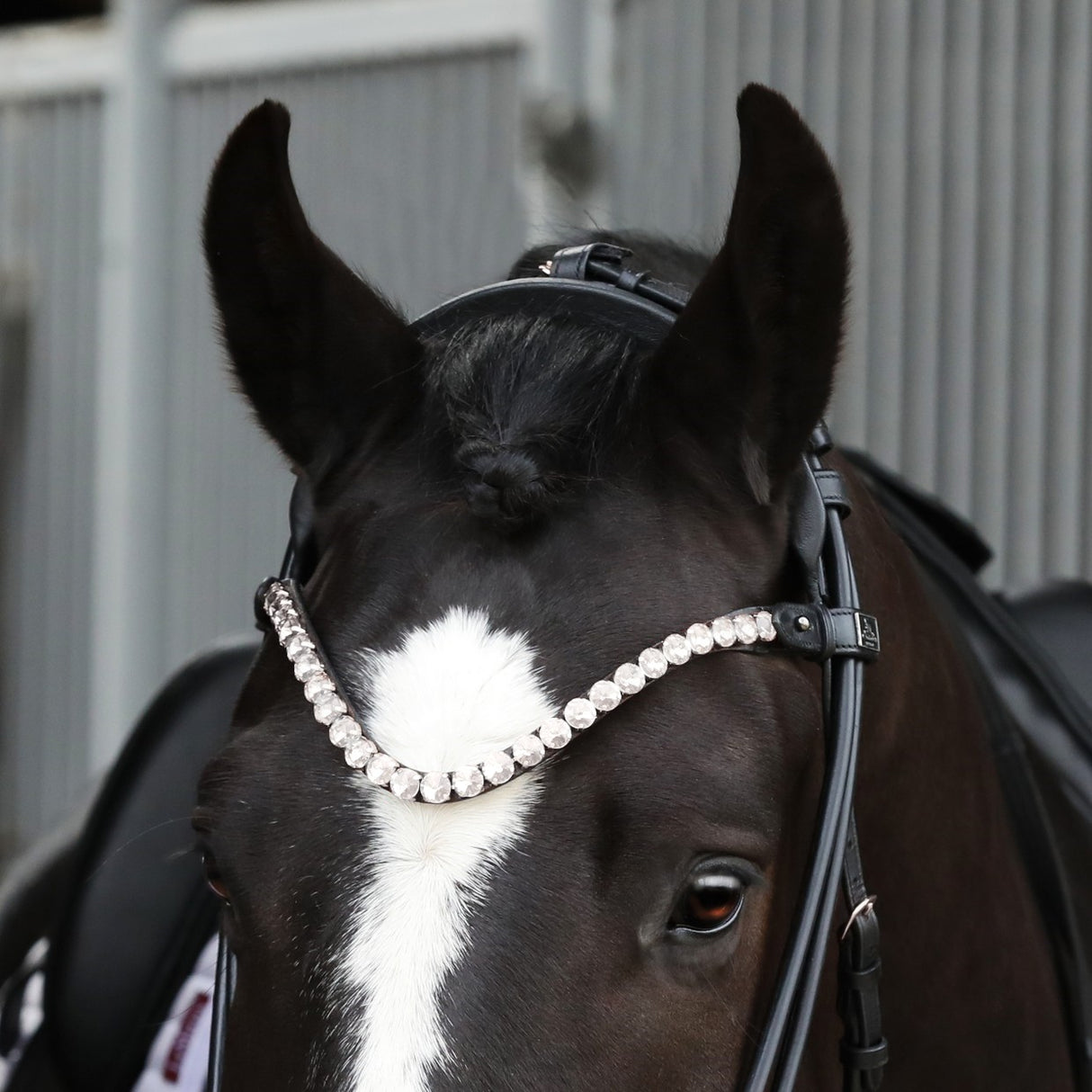 SD Design Velaggio Browband Crystal