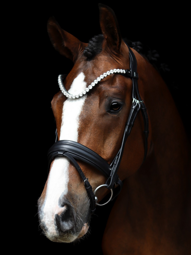 SD Design L Únique Browband Crystal