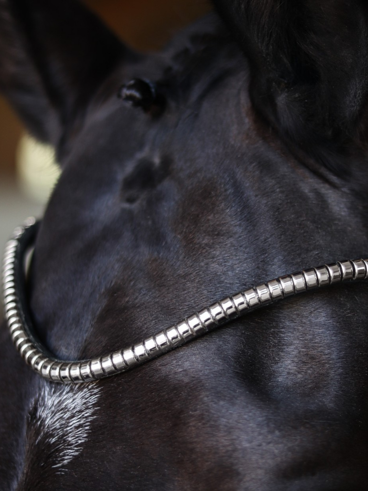 SD Design Veneziano Browband Silver Clincher