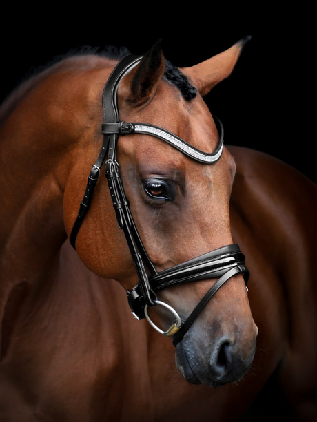 SD Design Amarant Browband Crystal