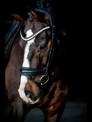 SD Design Mystery Bridle