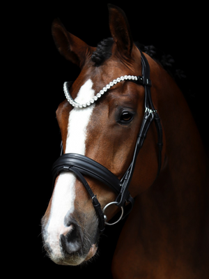 SD Design L Únique II Bridle
