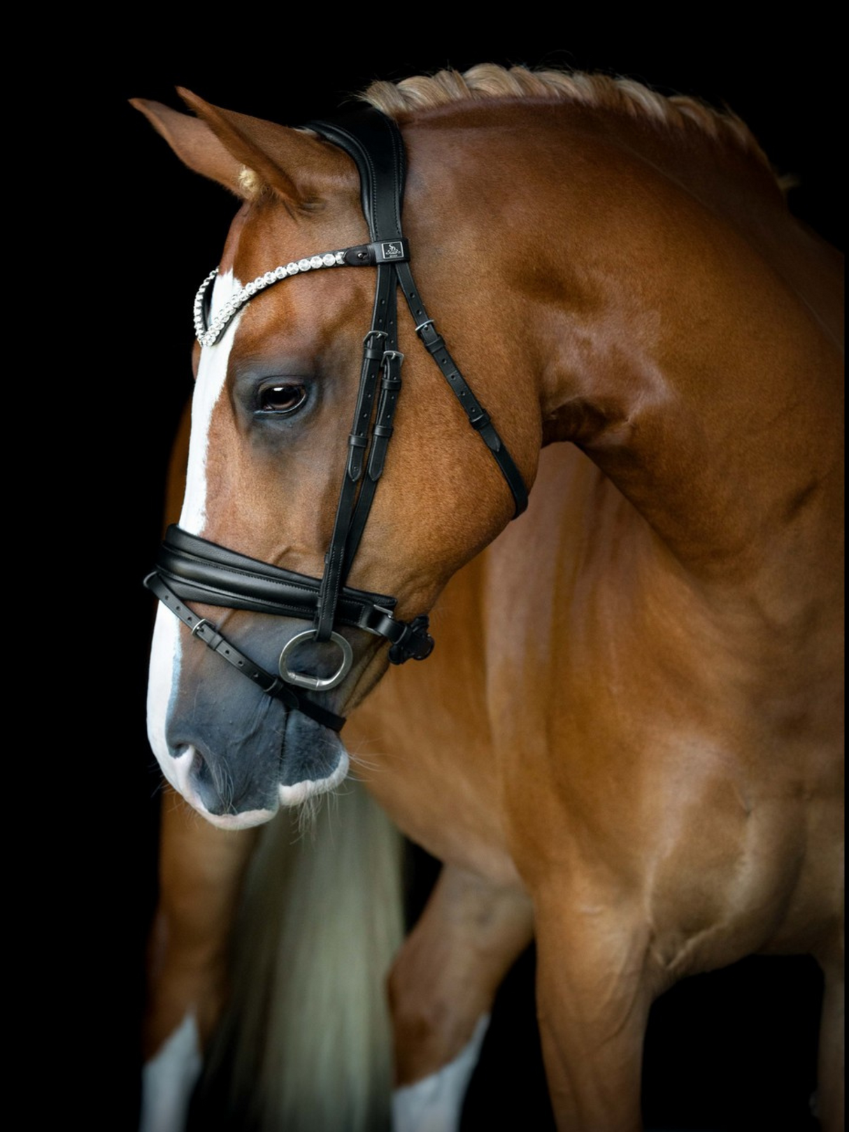 SD Design L Únique II Bridle