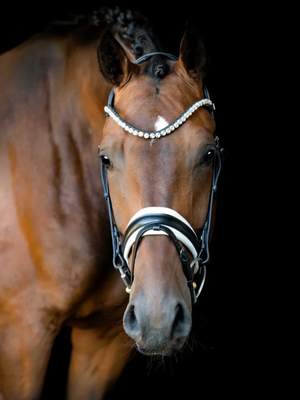 SD Design L Únique II Bridle