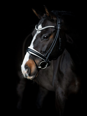 SD Design Duke De Niro II Rolled Bridle