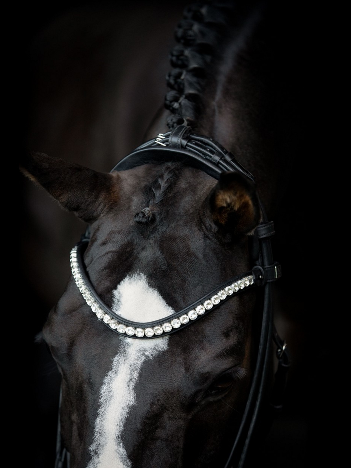 SD Design Duke De Niro II Rolled Bridle