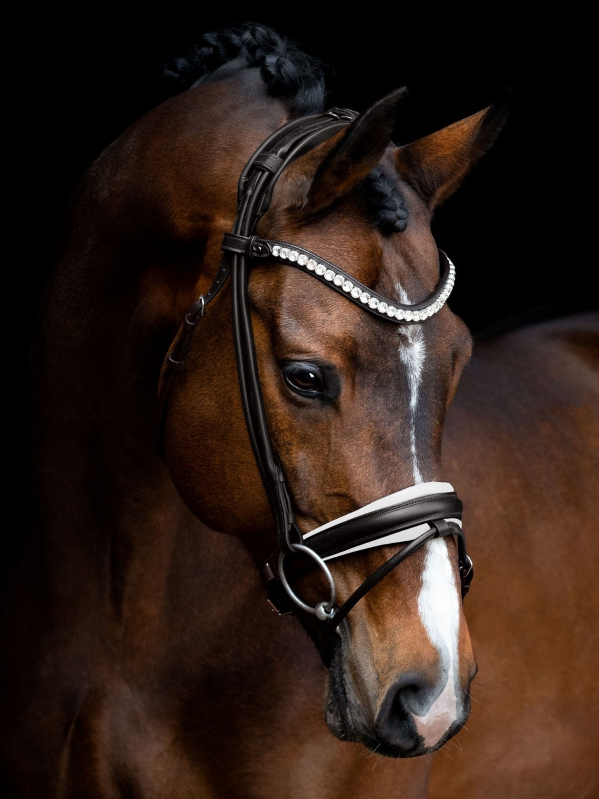 SD Design Duke De Niro II Rolled Bridle