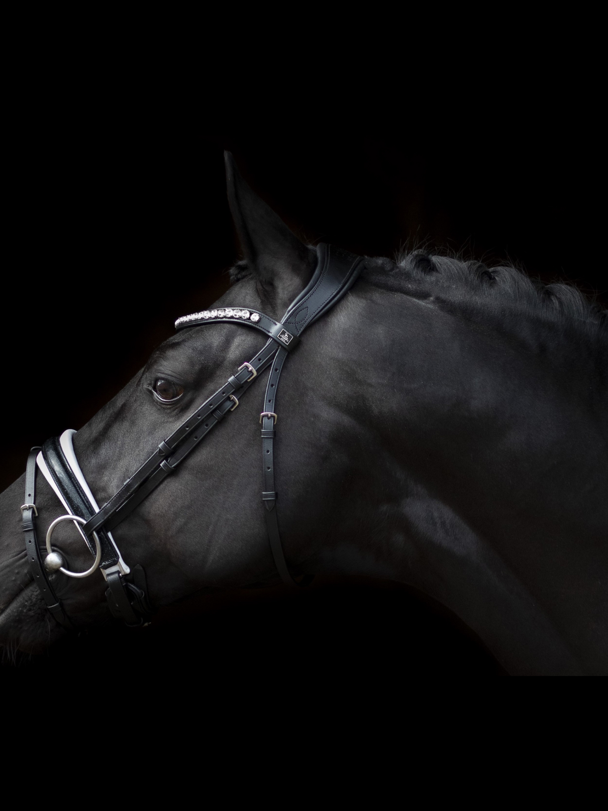 SD Design Mystery Bridle