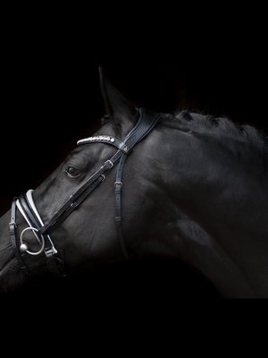 SD Design Mystery Bridle