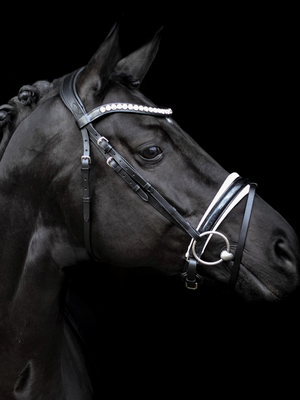 SD Design Mystery Bridle