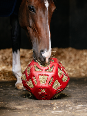 LeMieux Hay Ball Chilli
