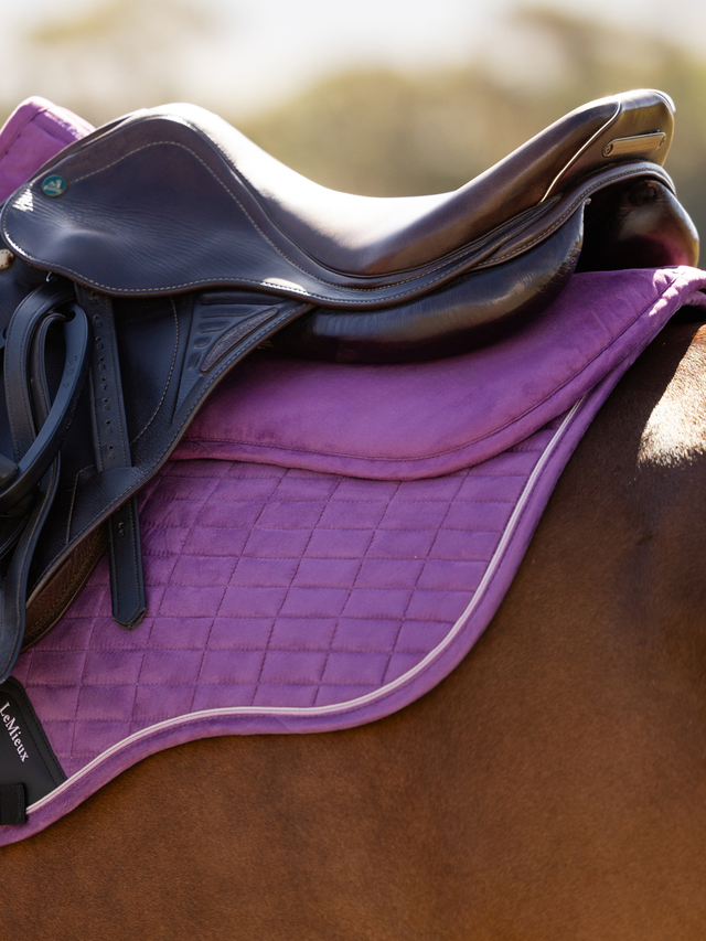 LeMieux Suede Half Pad Mallow