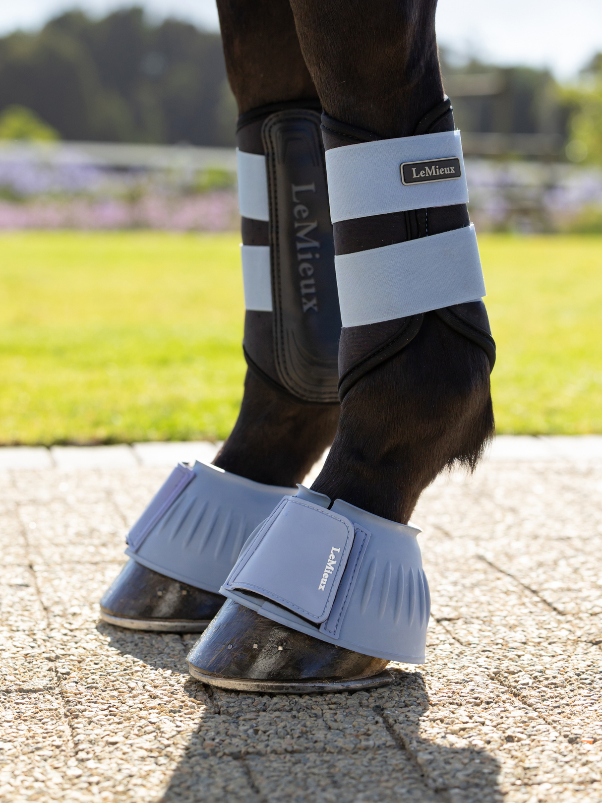 LeMieux Rubber Bell Boots Powder Blue