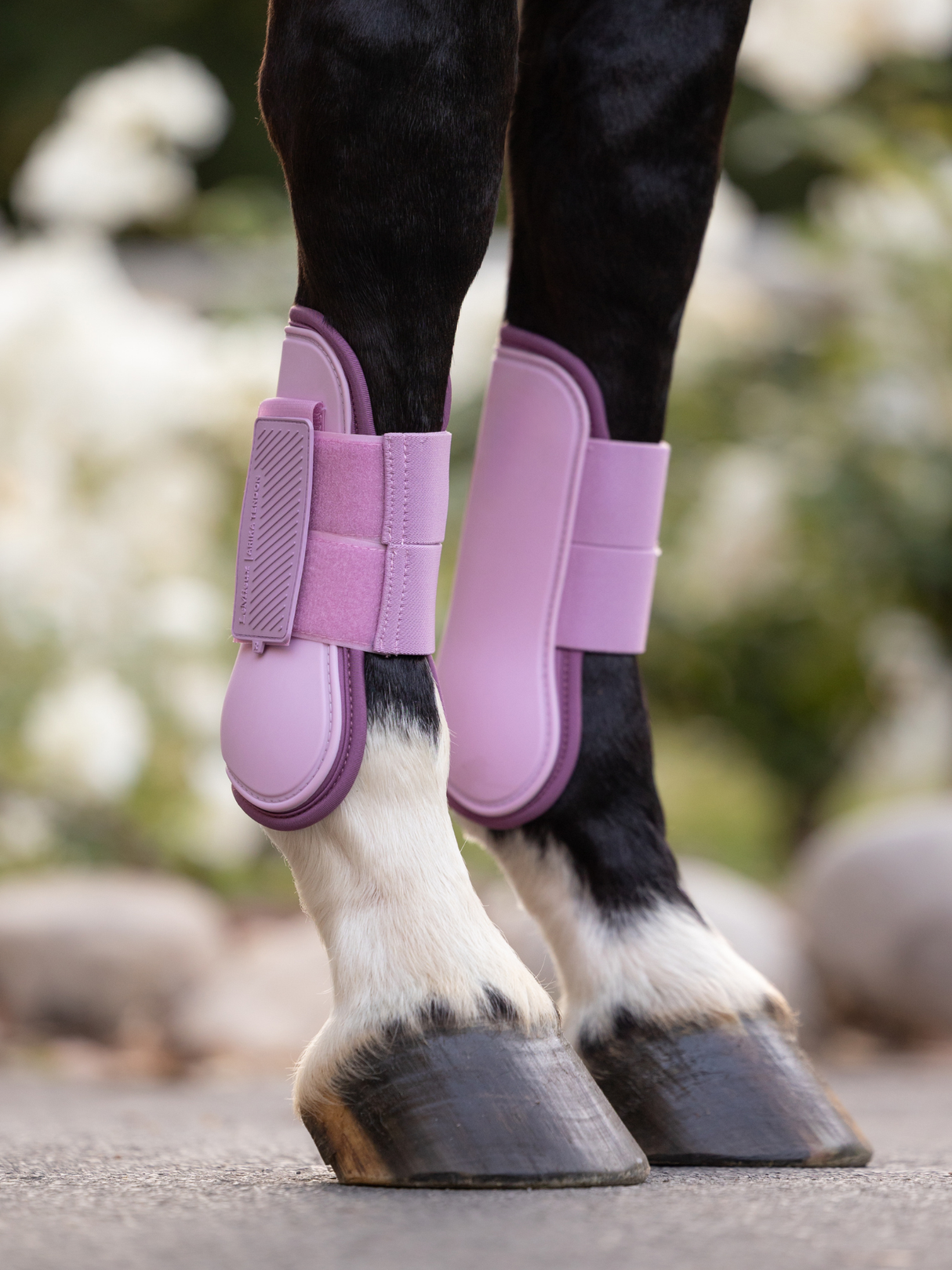 LeMieux Arika Tendon Boots Fondant