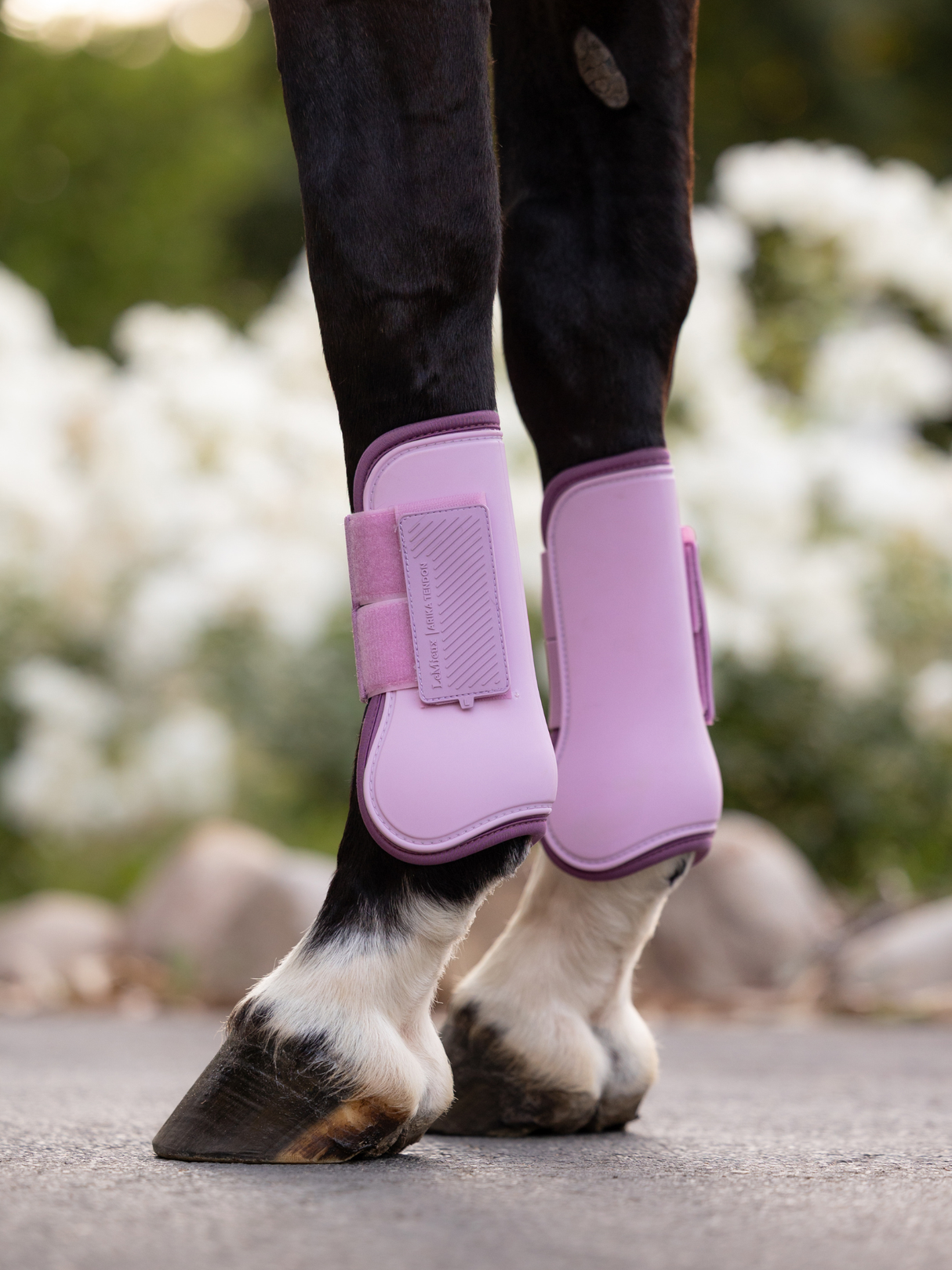 LeMieux Arika Tendon Boots Fondant