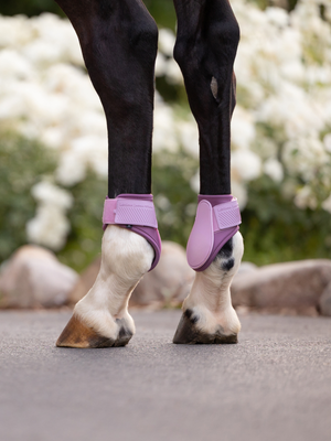 LeMieux Arika Fetlock Boots Fondant
