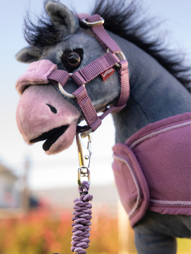 LeMieux Toy Pony Vogue Headcollar & Leadrope Mallow