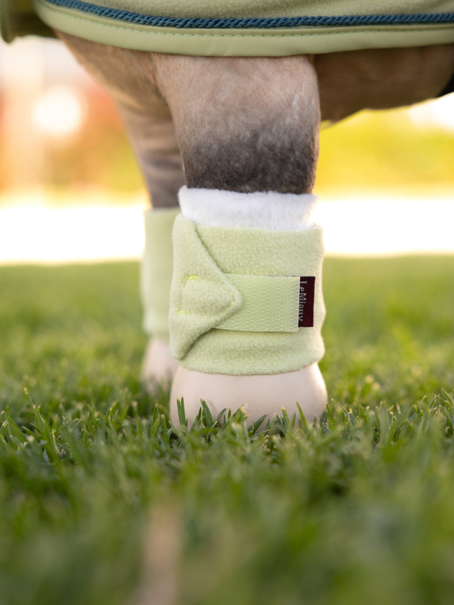 LeMieux Toy Pony Bandages Macaron
