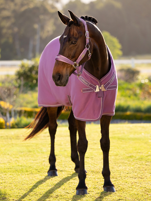 LeMieux Kudos Bamboo Cooler Rug Mallow