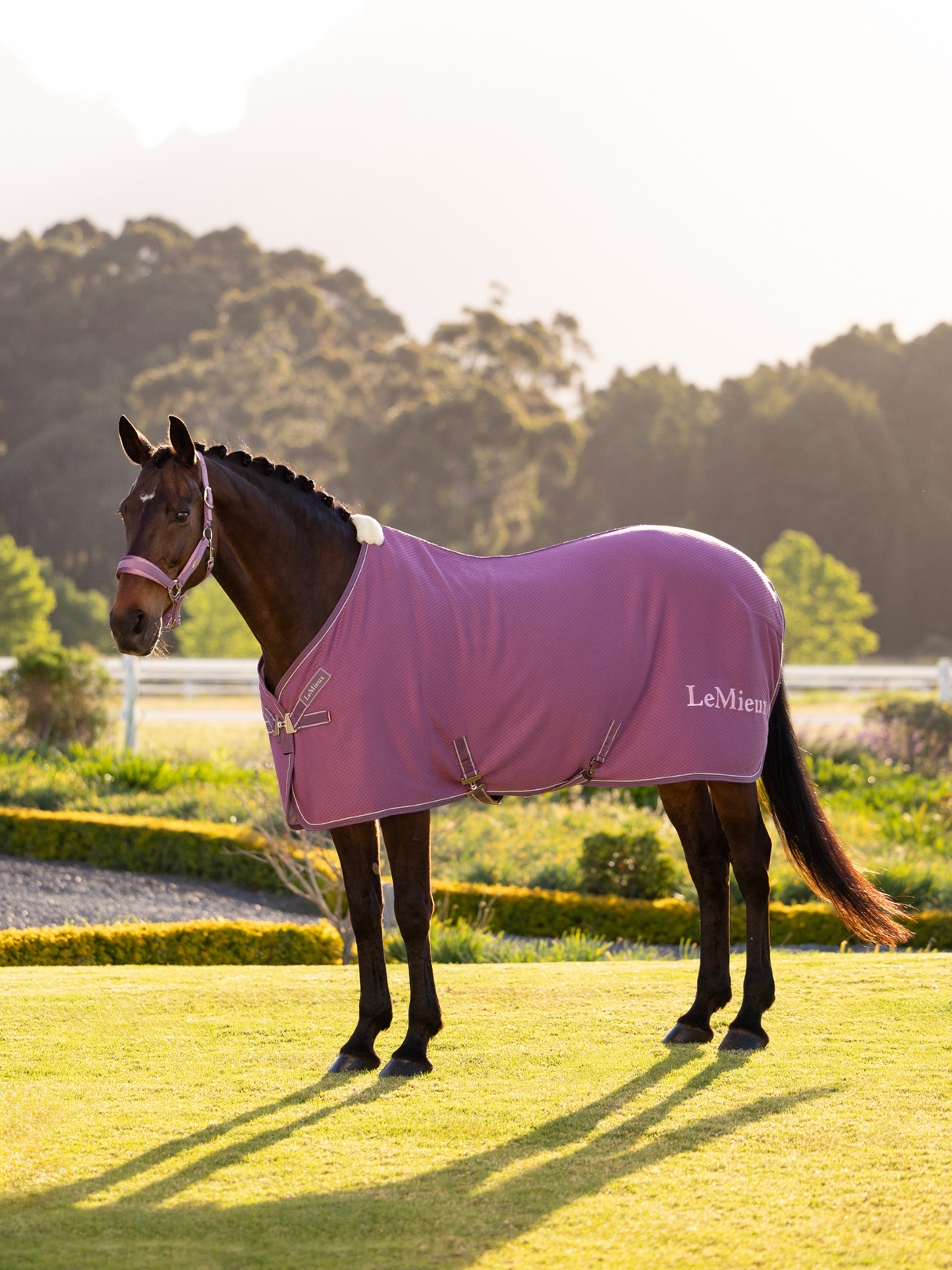 LeMieux Kudos Bamboo Cooler Rug Mallow