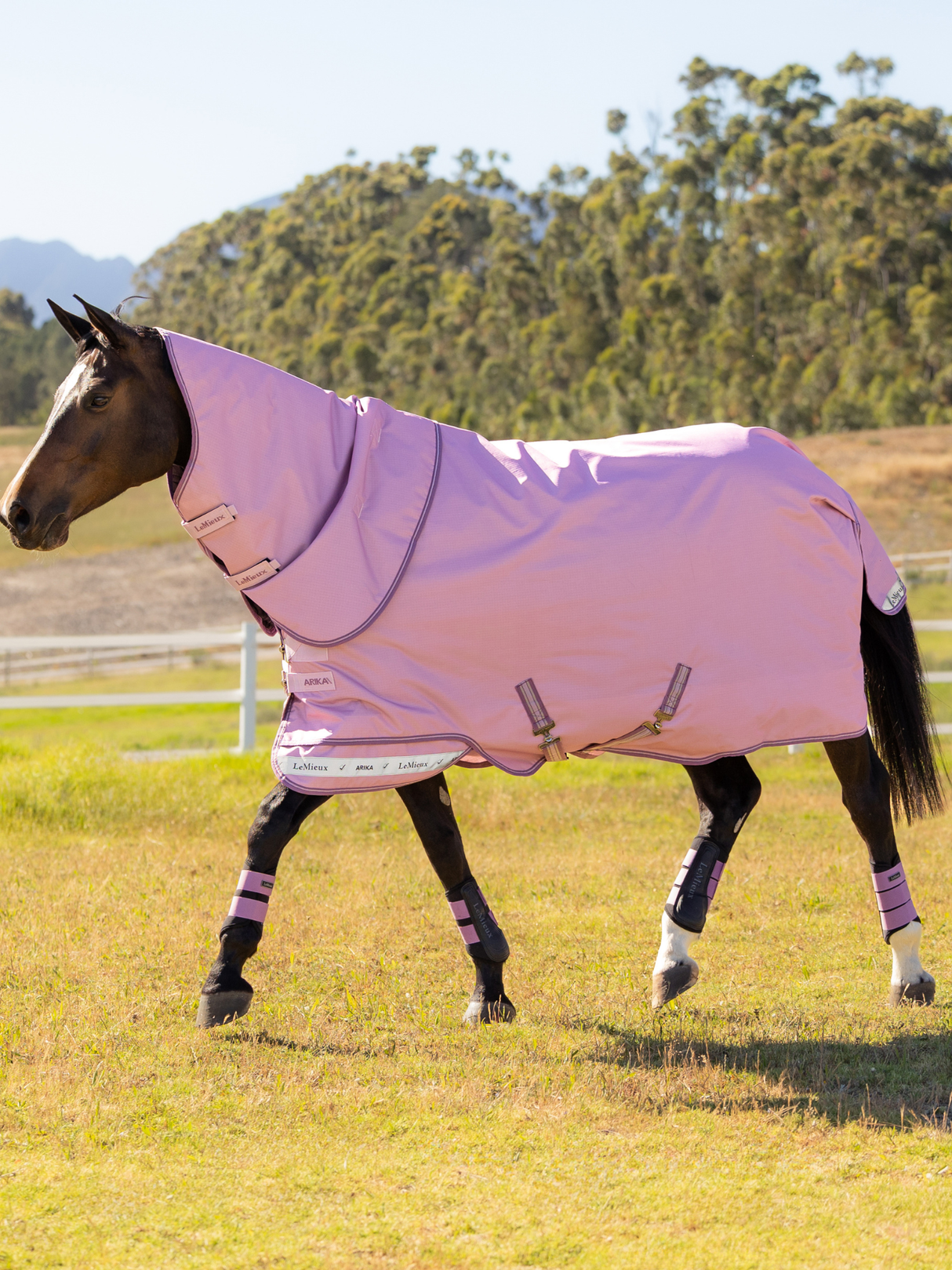 LeMieux Arika Ripstop 0g Turnout Rug Fondant