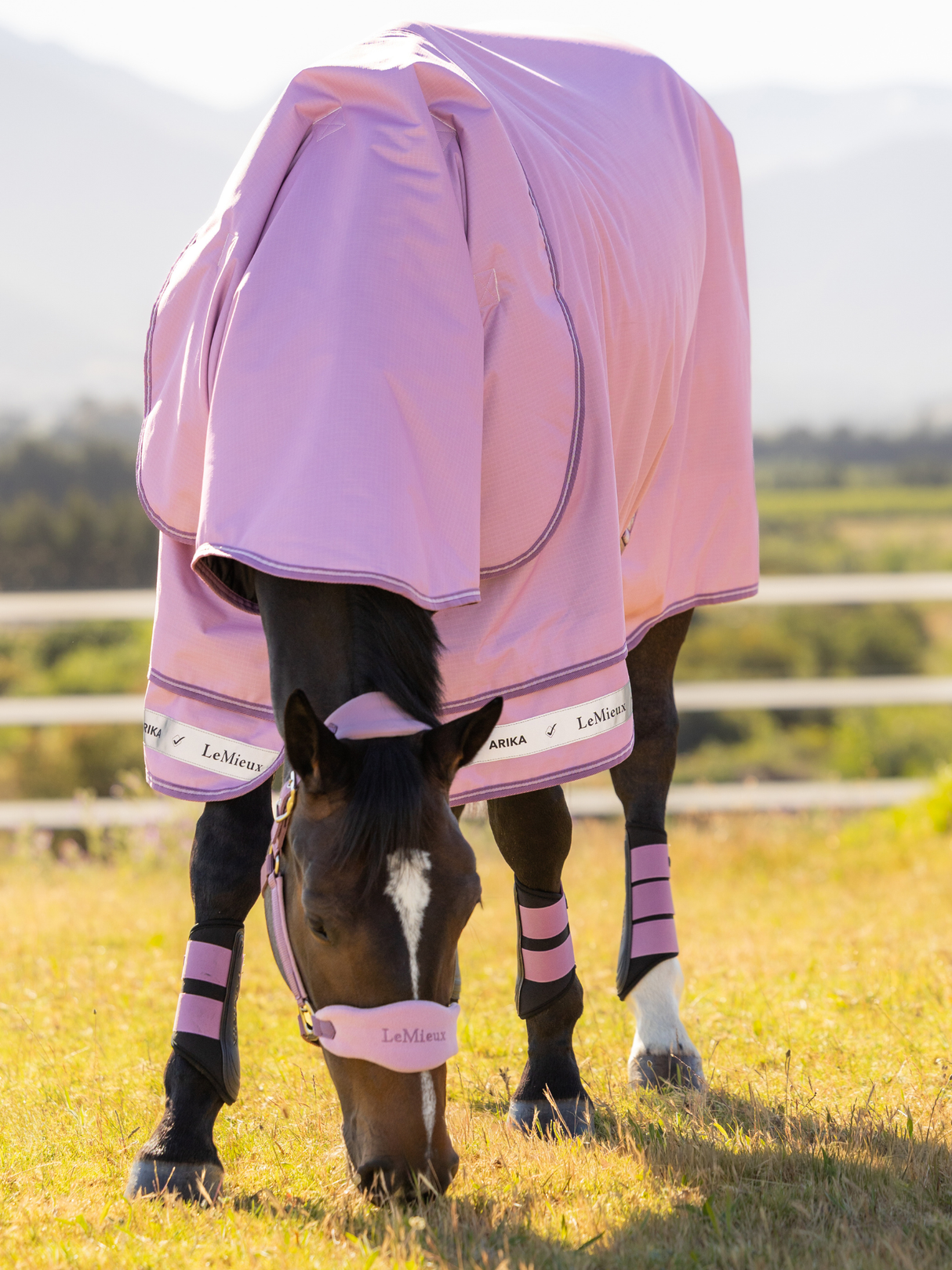 LeMieux Arika Ripstop 0g Turnout Rug Fondant