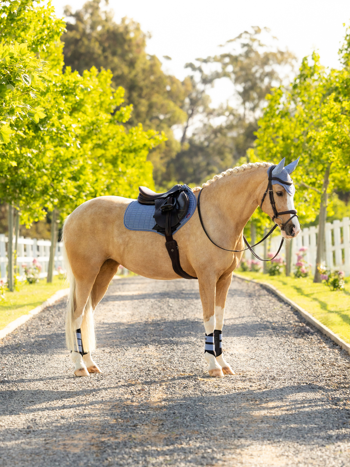 LeMieux Suede Close Contact Jump Saddle Pad Powder Blue