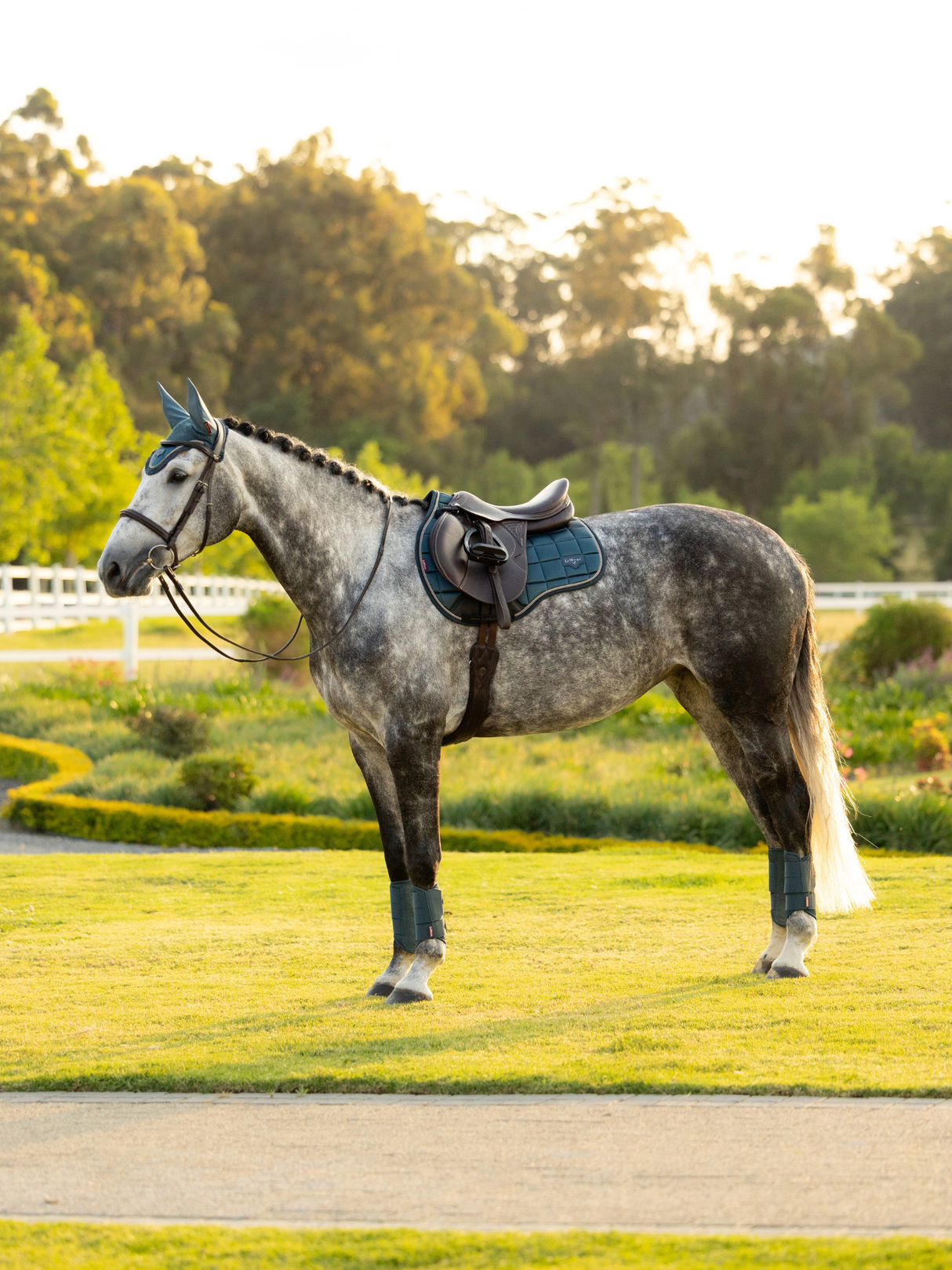 LeMieux Loire GP Saddle Pad Jungle