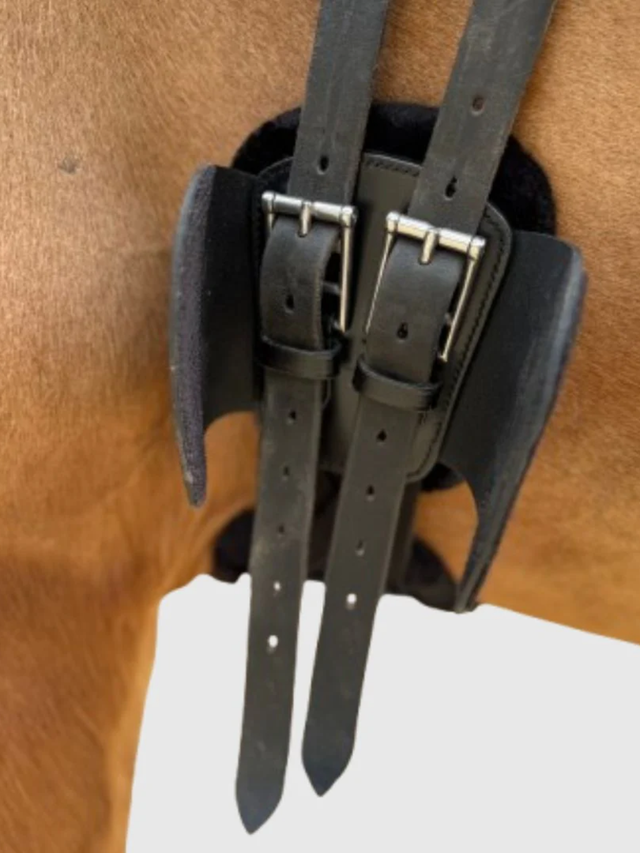 Correct Connect Pressure Relief Comfort Short Girth