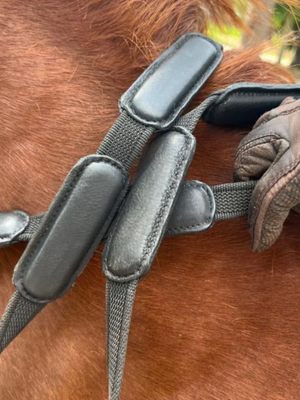 Correct Connect Comfort Connect Rein - Intermittent Padding for Equal Rein Length and Hand Support