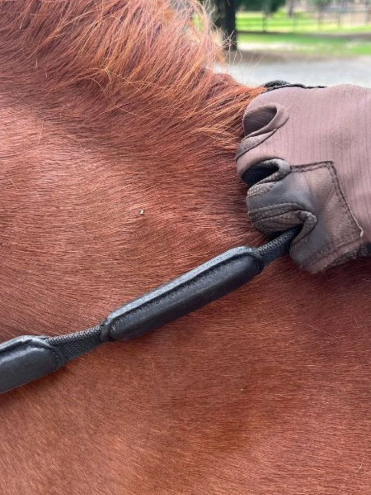 Correct Connect Comfort Connect Rein - Intermittent Padding for Equal Rein Length and Hand Support