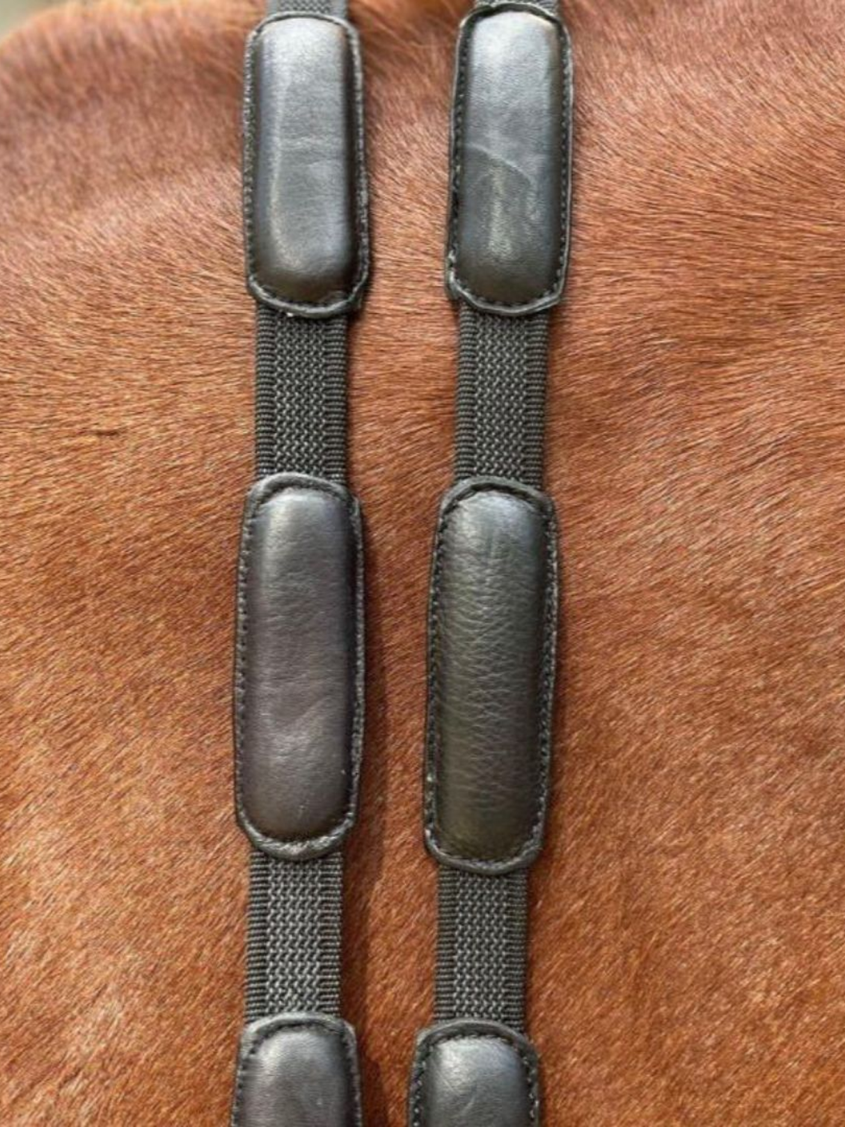 Correct Connect Comfort Connect Rein - Intermittent Padding for Equal Rein Length and Hand Support