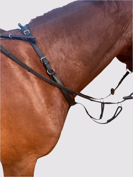 Correct Connect Running Martingale Add-On for Double Neck Strap