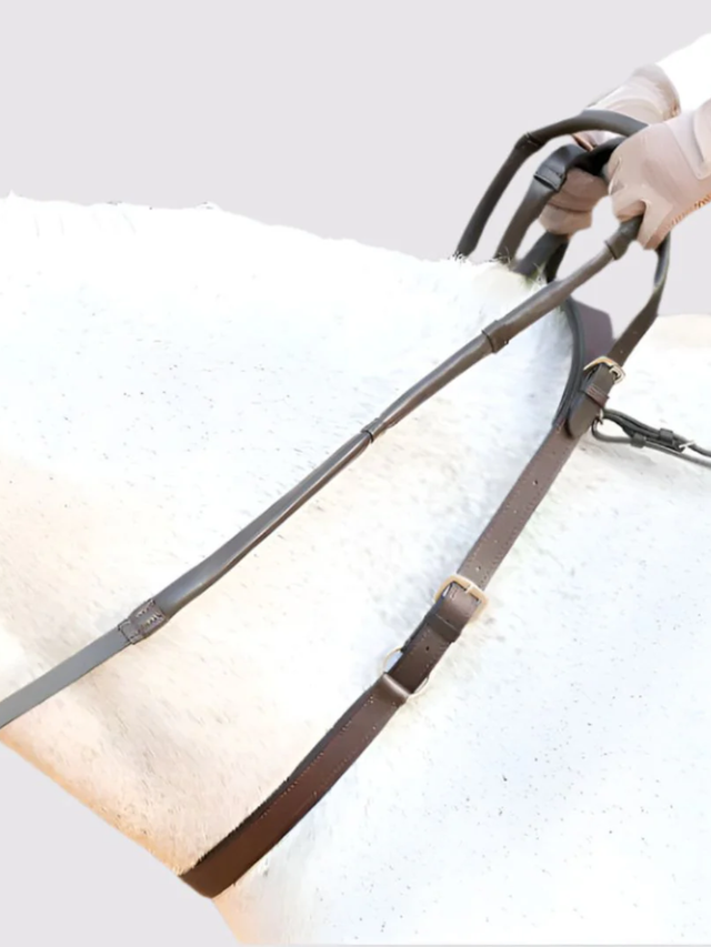 Correct Connect Double Neck Strap