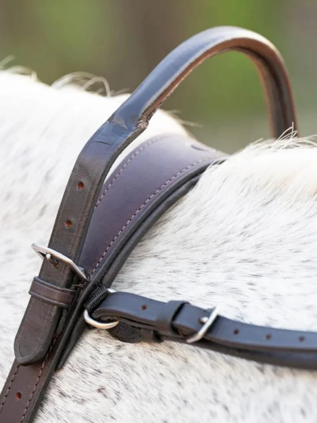 Correct Connect Double Neck Strap