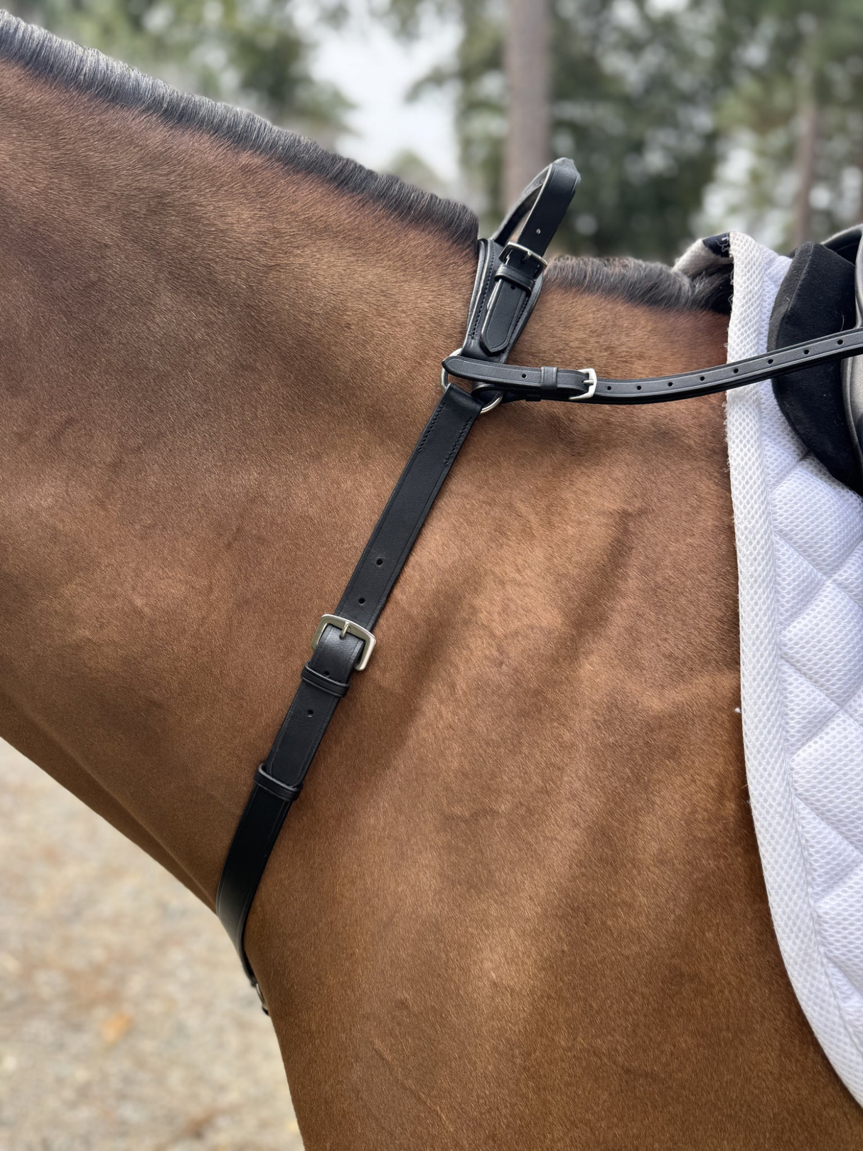Correct Connect Double Neck Strap