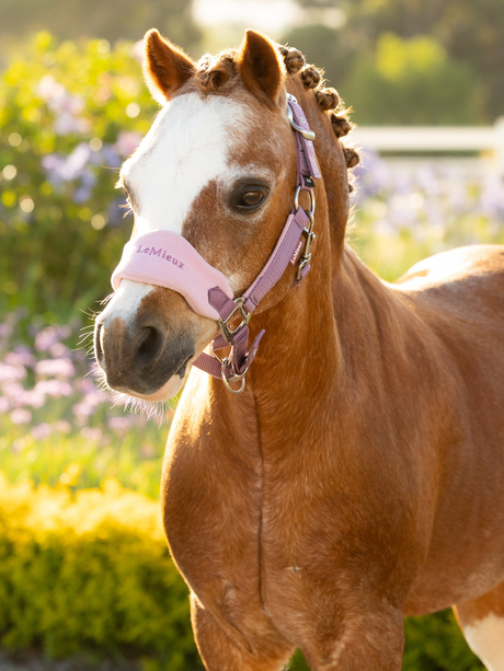 LeMieux Mini Vogue Headcollar & Leadrope Mallow