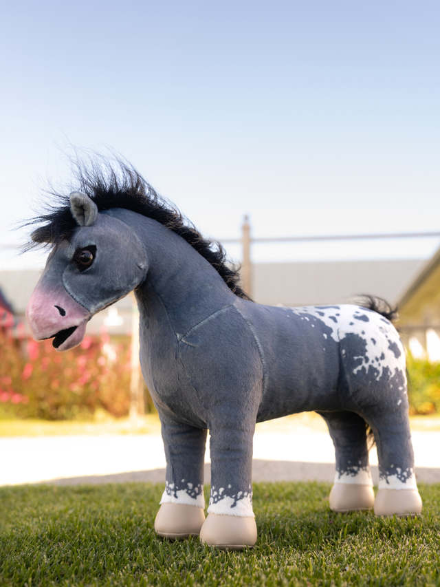 LeMieux Toy Pony Comet