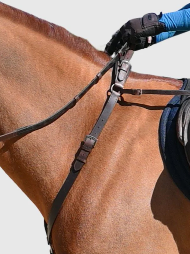 Correct Connect 3-Point Breastplate with Double Neck Strap