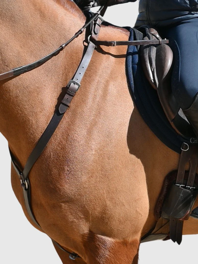Correct Connect 3-Point Breastplate with Double Neck Strap